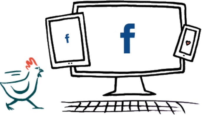 Banner Facebook d'eFarmz